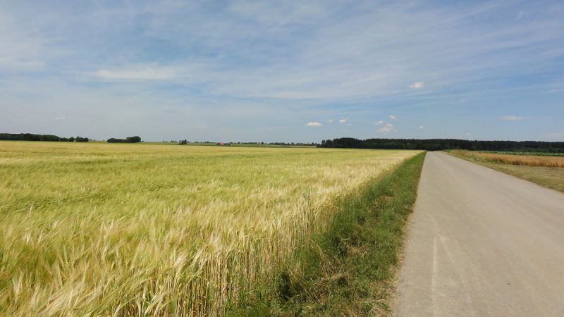 fields-bavaria