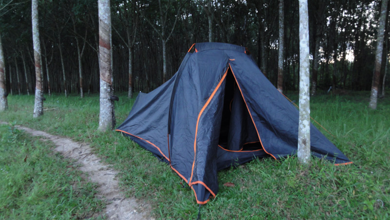 Устанавливать палатку в зарослях каучуковых деревьев - опасная идея. на таких деревьях обитают маленькие и ядовитые змейки